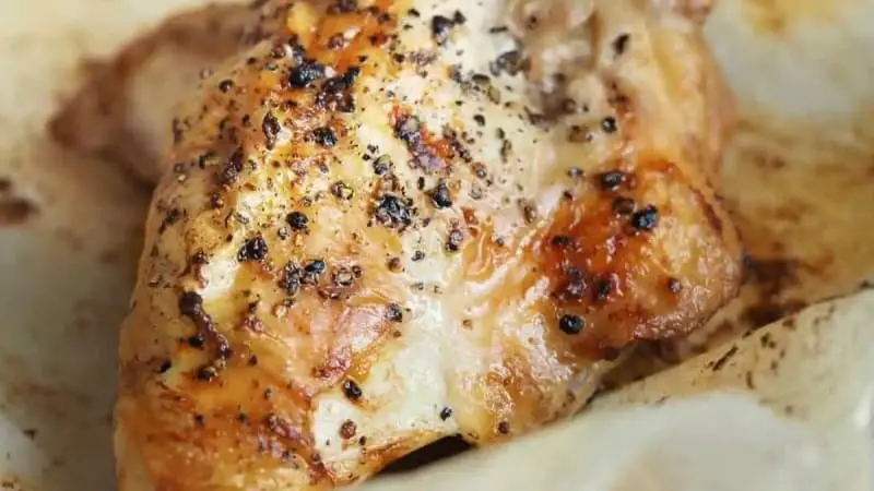 Pollo