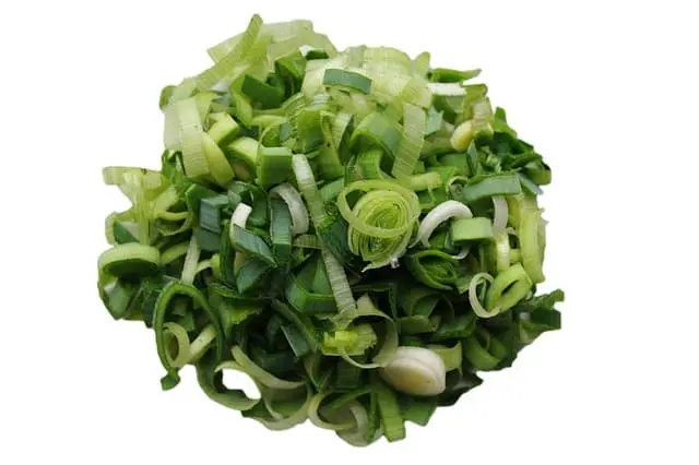 Puerro