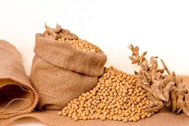 Soya
