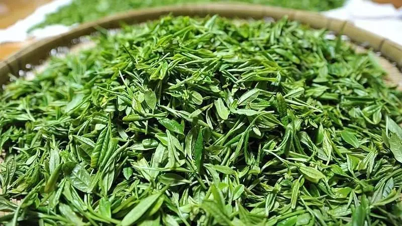 Té Verde