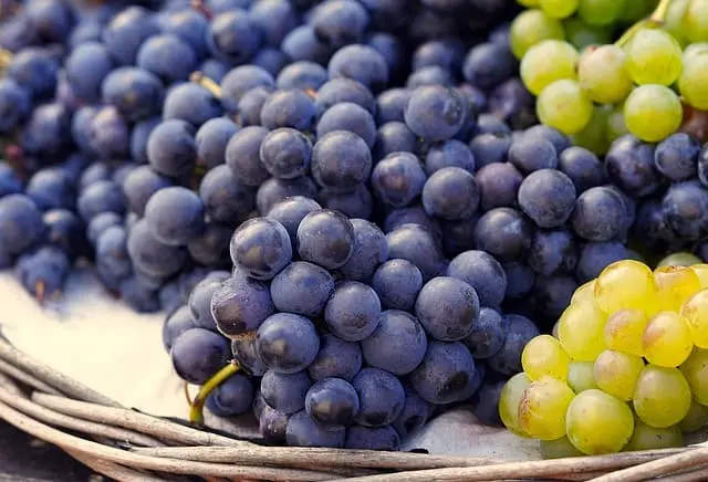Uvas