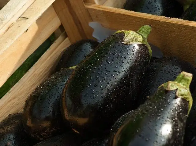Verduras
