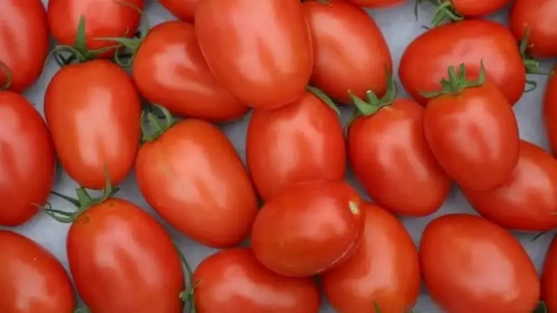 Verduras