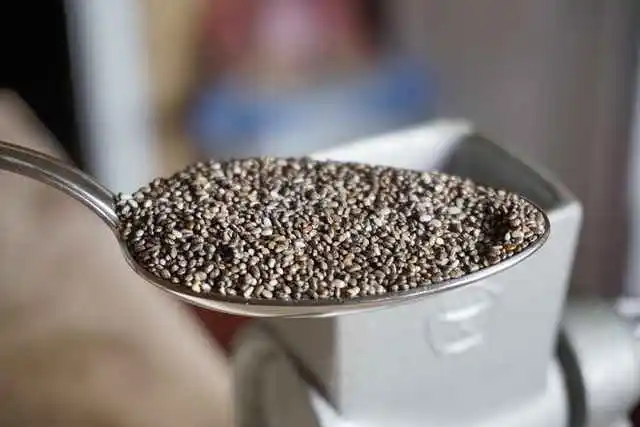 Alimentos