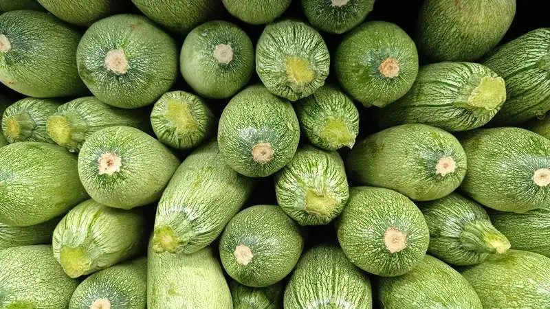 Alimentos