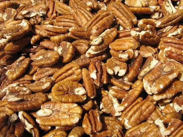 Frutos Secos