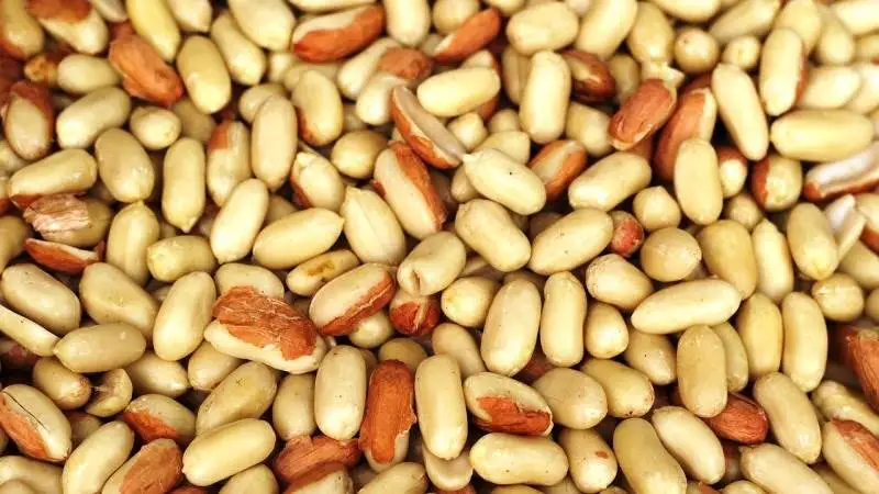 Frutos Secos