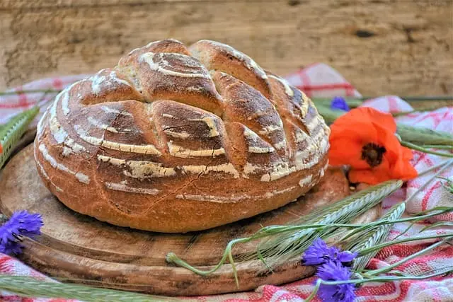 Masa madre