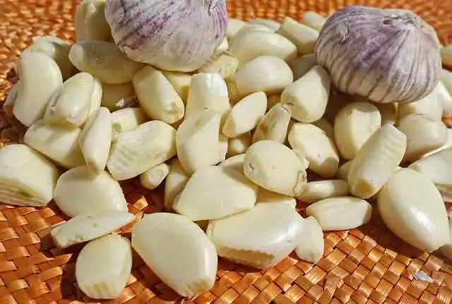 Superalimentos