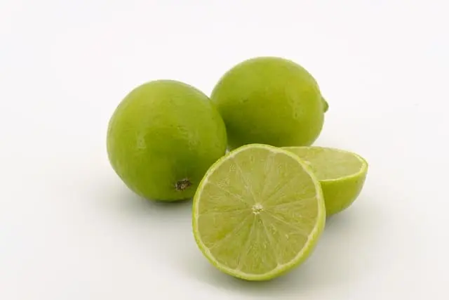 Antibióticos