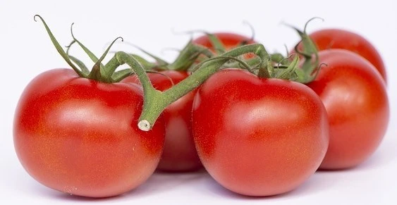 Carotenoides