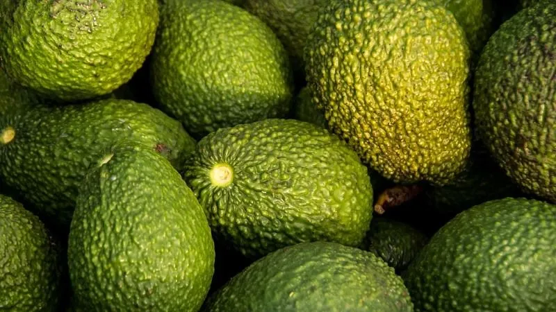 Dieta cetogénica