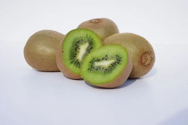 Enzimas
