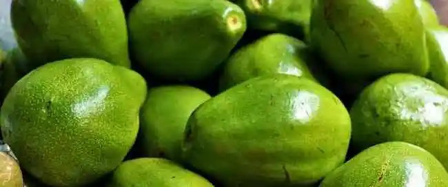 Erupciones cutáneas