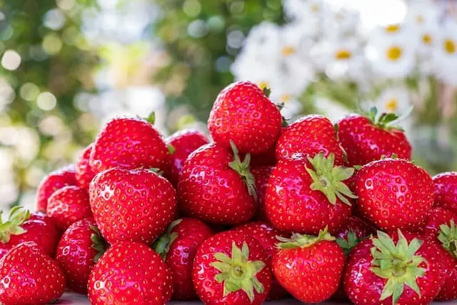 Flavonoides