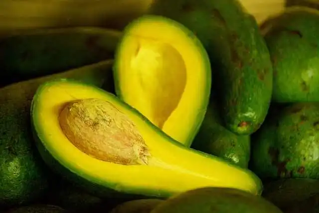 Nutrientes esenciales