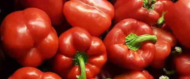Propiedades antioxidantes