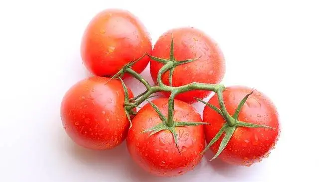 Propiedades antioxidantes