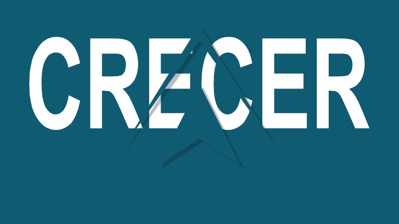 Crecer en Redes
